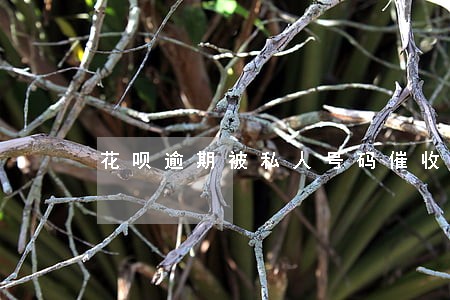 花呗逾期被私人号码催收 花呗逾期被私人号码催收