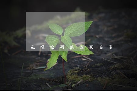 花呗逾期被立案后果 花呗逾期被立案后果