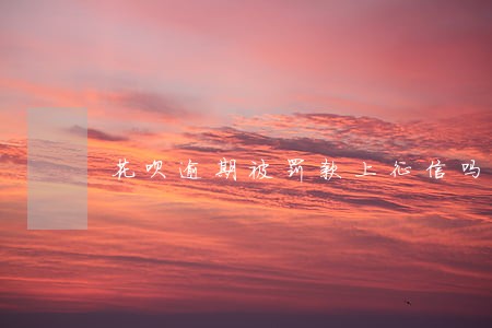 花呗逾期被罚款上征信吗 花呗逾期被罚款上征信吗