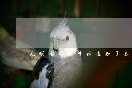 花呗逾期被诉讼通知了怎么办 花呗逾期被诉讼通知了怎么办