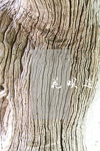 花呗逾期被通知立案 花呗逾期被通知立案