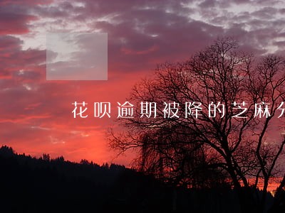 花呗逾期被降的芝麻分还会涨吗 花呗逾期被降的芝麻分还会涨吗