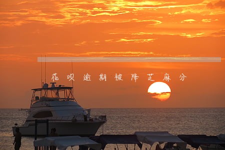 花呗逾期被降芝麻分 花呗逾期被降芝麻分