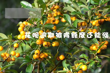 花呗逾期被降额度还能涨回来 花呗逾期被降额度还能涨回来