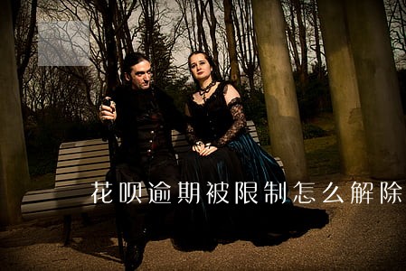 花呗逾期被限制怎么解除 花呗逾期被限制怎么解除