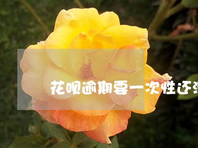 花呗逾期要一次性还清怎么办 花呗逾期要一次性还清怎么办