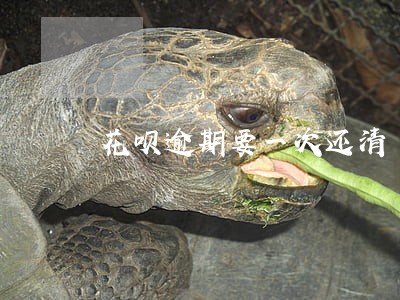 花呗逾期要一次还清 花呗逾期要一次还清