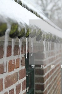 花呗逾期要上公司核实 花呗逾期要上公司核实