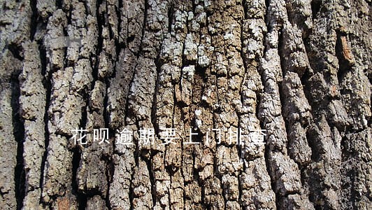 花呗逾期要上门排查 花呗逾期要上门排查