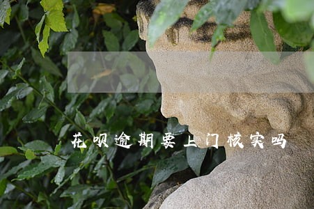 花呗逾期要上门核实吗 花呗逾期要上门核实吗