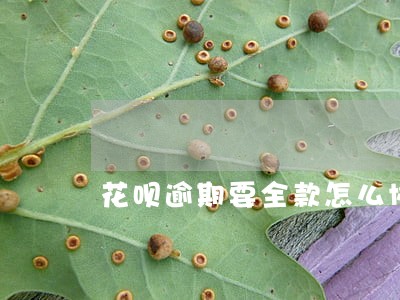 花呗逾期要全款怎么协商 花呗逾期要全款怎么协商