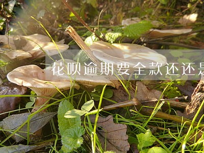 花呗逾期要全款还还是