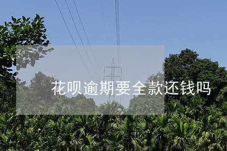 花呗逾期要全款还钱吗 花呗逾期要全款还钱吗