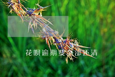 花呗逾期要全部还清
