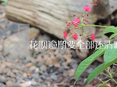 花呗逾期要全部还清嘛 花呗逾期要全部还清嘛