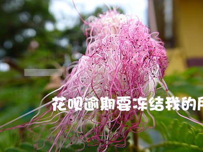 花呗逾期要冻结我的所有账户 花呗逾期要冻结我的所有账户