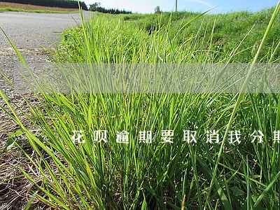 花呗逾期要取消我分期 花呗逾期要取消我分期