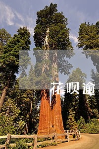 花呗逾期要多久才可能恢复 花呗逾期要多久才可能恢复