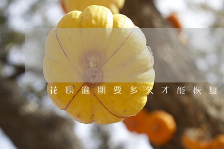 花呗逾期要多久才能恢复 花呗逾期要多久才能恢复
