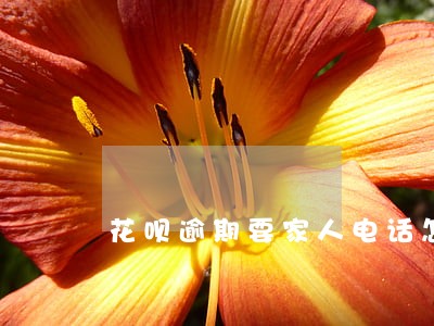 花呗逾期要家人电话怎么办 花呗逾期要家人电话怎么办