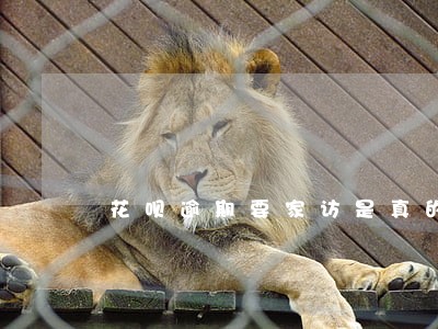 花呗逾期要家访是真的吗 花呗逾期要家访是真的吗