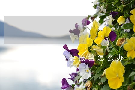 花呗逾期要报警怎么办 花呗逾期要报警怎么办