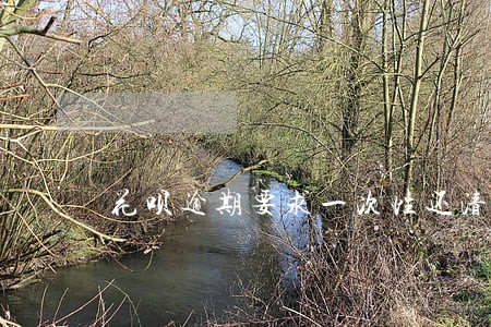 花呗逾期要求一次性还清 花呗逾期要求一次性还清