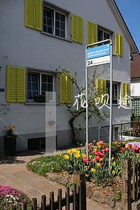 花呗逾期要求一次结清 花呗逾期要求一次结清