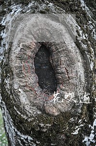 花呗逾期要求借呗一次性结清吗 花呗逾期要求借呗一次性结清吗