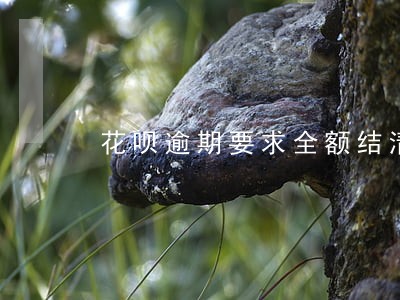 花呗逾期要求全额结清 花呗逾期要求全额结清