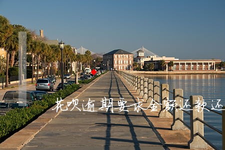 花呗逾期要求全额还款还要上诉 花呗逾期要求全额还款还要上诉