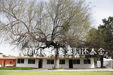 花呗逾期要求归还本金 花呗逾期要求归还本金