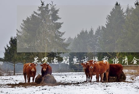 花呗逾期要求提前结清全部 花呗逾期要求提前结清全部