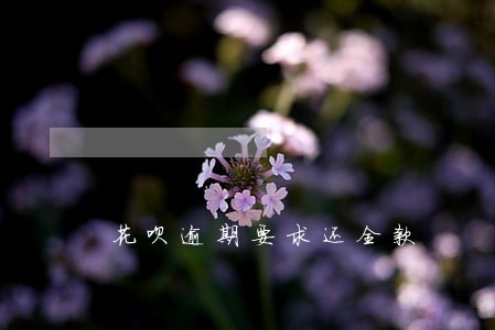 花呗逾期要求还全款 花呗逾期要求还全款