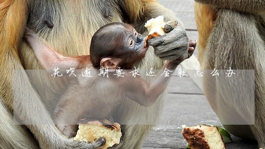 花呗逾期要求还全款怎么办 花呗逾期要求还全款怎么办