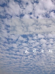 花呗逾期要联系客服吗 花呗逾期要联系客服吗