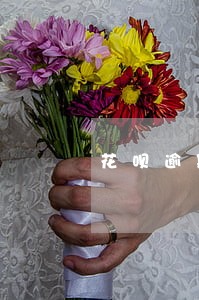 花呗逾期要还全款 花呗逾期要还全款
