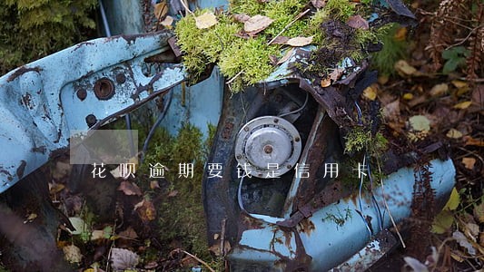 花呗逾期要钱是信用卡 花呗逾期要钱是信用卡