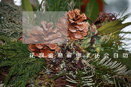 花呗逾期解绑了还会自动扣款 花呗逾期解绑了还会自动扣款