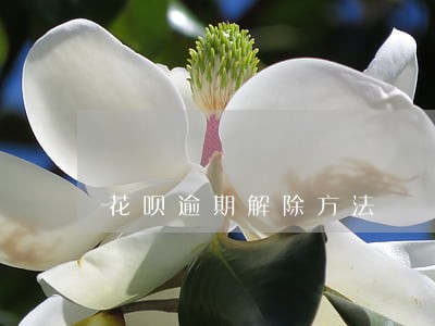 花呗逾期解除方法 花呗逾期解除方法