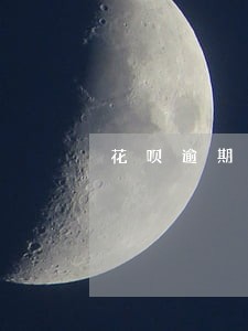花呗逾期警察会不会上门 花呗逾期警察会不会上门