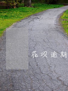 花呗逾期计算利息是多少 花呗逾期计算利息是多少