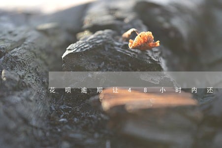 花呗逾期让48小时内还款 花呗逾期让48小时内还款