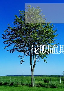 花呗逾期让全部结清 花呗逾期让全部结清
