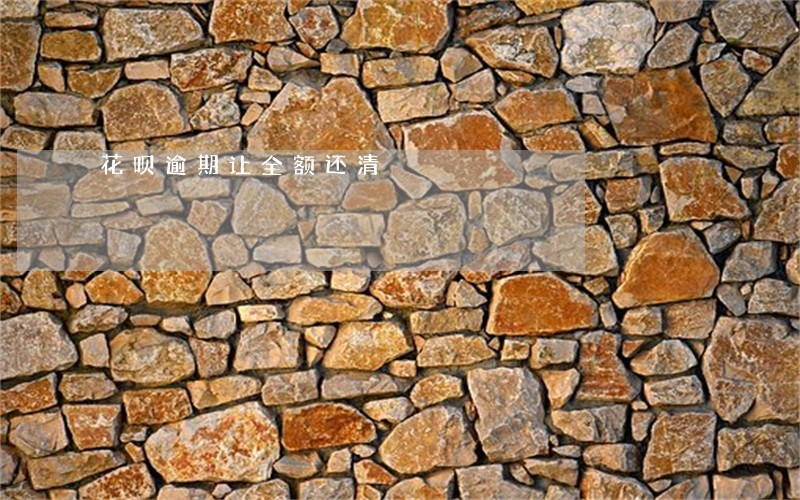 花呗逾期让全额还清 花呗逾期让全额还清
