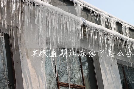 花呗逾期让冻结了怎么办 花呗逾期让冻结了怎么办