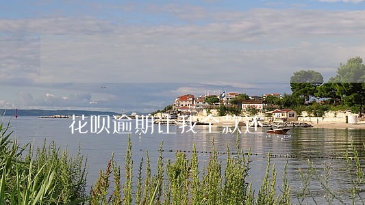 花呗逾期让我全款还 花呗逾期让我全款还