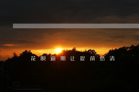 花呗逾期让提前结清 花呗逾期让提前结清
