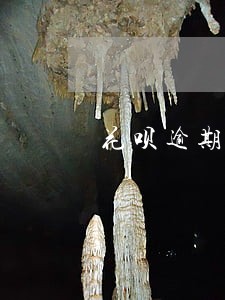 花呗逾期让提前结清怎么办 花呗逾期让提前结清怎么办
