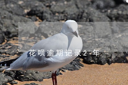 花呗逾期记录2年 花呗逾期记录2年